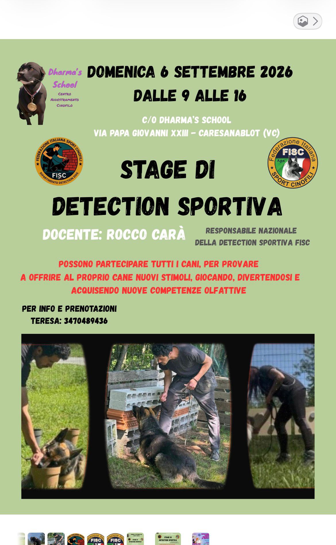 stage detection sportiva